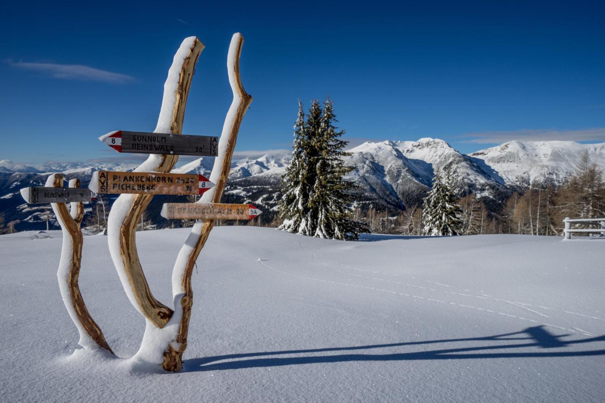 Hotel Panoramic Lotsch Sarentino Екстериор снимка